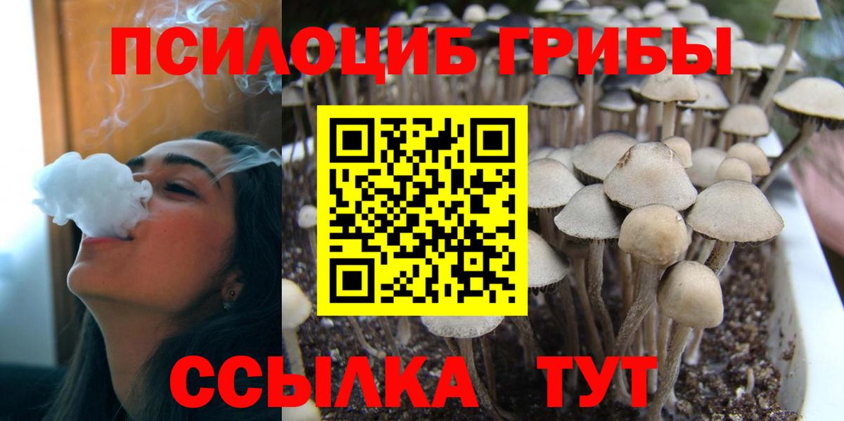 Галлюциногенные грибы мицелий Сыктывкар